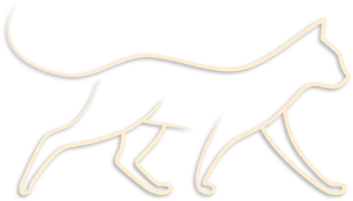 Startseite 2 Katze White Normal 489